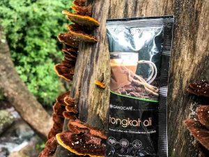 Café Tongkat ali